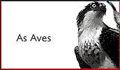 As Aves